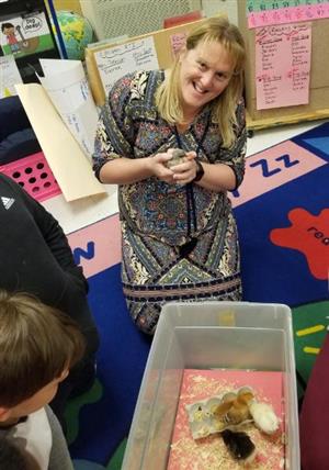 Principal Anne Park with baby chicks 